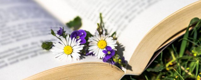 石读法(石读音是什么意思)