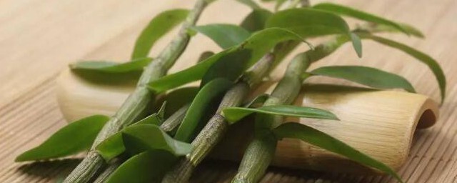 铁皮石斛功效与作用是什么(铁皮石斛有哪些功效与作用)