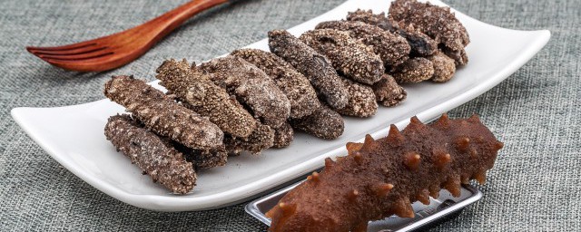 海参的功效与作用(海参的功效与作用吃海参的好处)