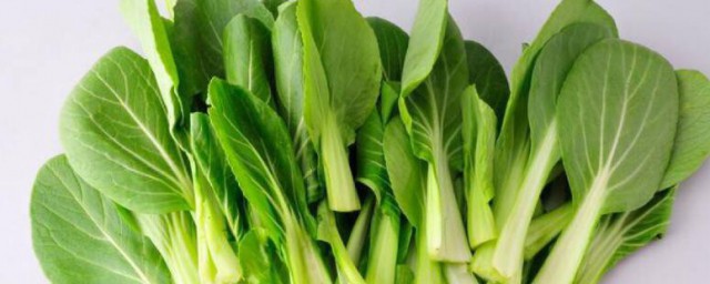 小白菜的营养价值及功效与作用是什么(小白菜的营养和价值)