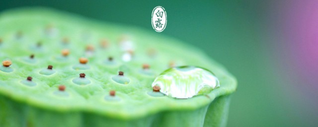 二十四节气如何排序(二十四节气排序正确的是什么)