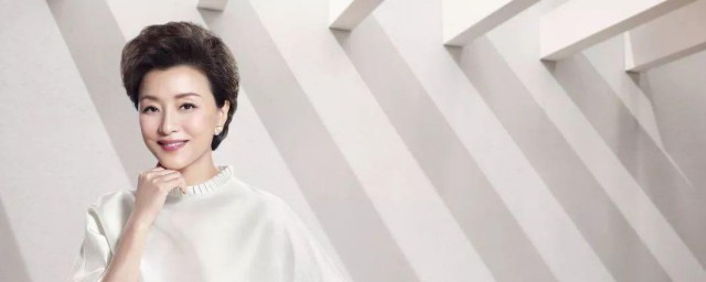 关于杨澜的简介(杨澜百度百科)