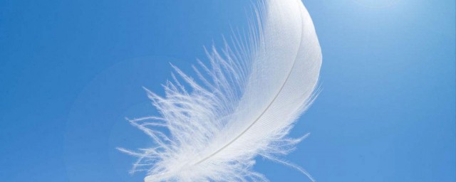 什么是羽毛(什么是羽毛球运动员的基本功)