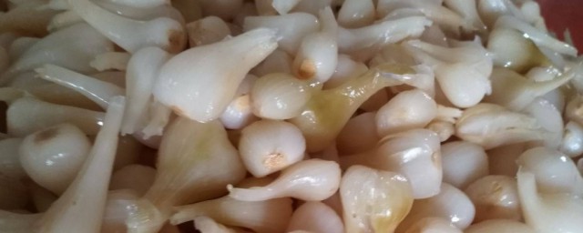 荞头腌制方法(荞头的腌制方法)