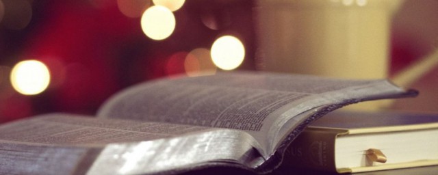 卑微解释(卑微解释一下)