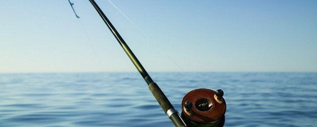 如何黑坑钓白鲢(钓白鲢怎么钓)