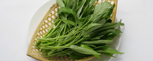 长期储存空心菜的做法(空心菜储存方法)