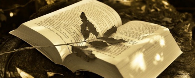 2021最好听的抖音火爆昵称(2021抖音火爆昵称唯美)