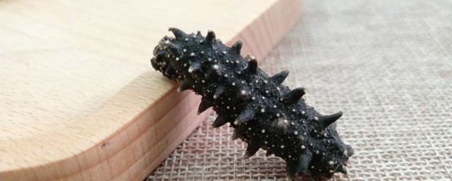 海参的作用都是什么(海参到底有什么作用)