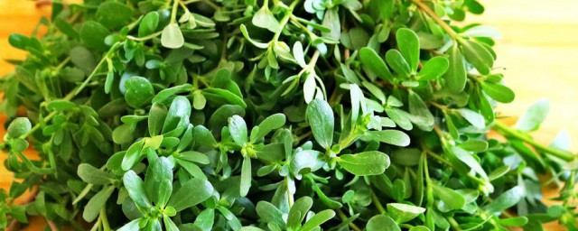 蒸马齿苋的步骤(蒸马齿苋的做法怎样好吃)