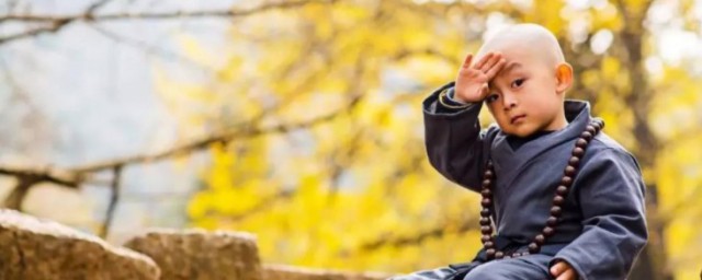 史上第一佛修剧情概况(《史上第一佛修》)