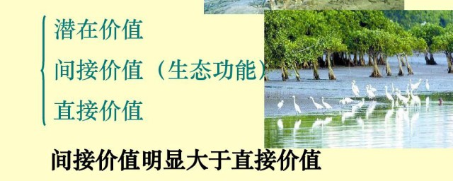 生物多样性的直接价值和间接价值的区别介绍(生物多样性直接价值和间接价值谁更重要)