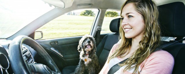 负极搭铁是什么意思(负极搭铁是指什么)