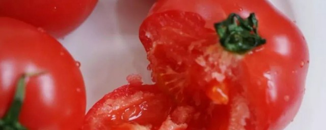 西红柿储存技巧(西红柿怎么储存的方法)