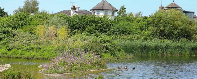 伦敦湿地中心相关资料(伦敦湿地中心生态旅游案例)