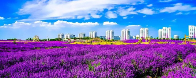 关于金昌市简介(中国金昌市)