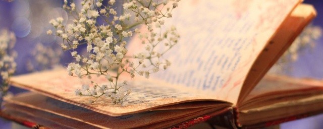 妄自菲薄菲的含义(不宜妄自菲薄的菲什么意思)