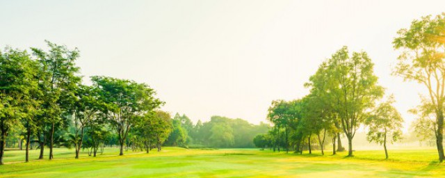 关于公园的种类介绍(公园有哪几种)