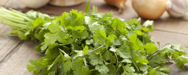 香菜如何保鲜储存时间长(香菜怎样保存时间更长)