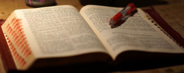 谦和解释(谦和是什么)