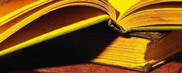 关于大熊猫的作文怎么写