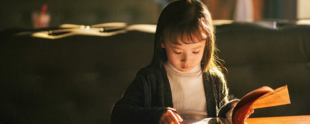 词语附丽什么意思(附丽的意思和拼音)