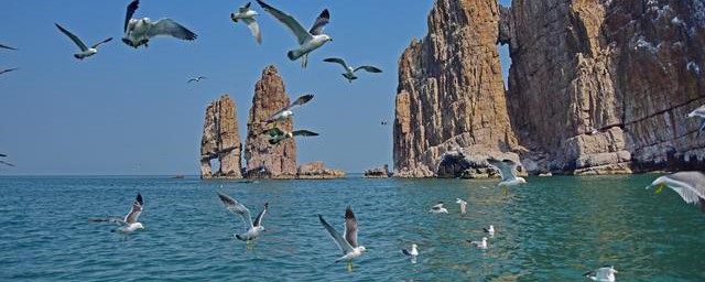 海平面是指以黄海为准吗(海平面是以什么海为基准)