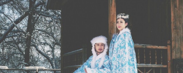 雪山飞狐作品简介是什么(雪山飞狐 百科)