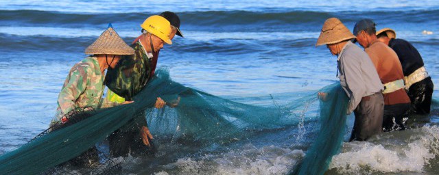 鱼贯上岸的解释(鱼贯上岸是什么)