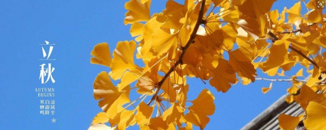 立秋古诗原文及翻译(立秋古诗文网)