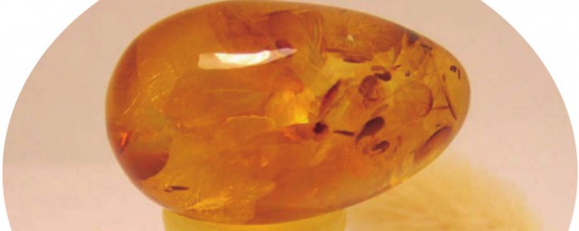 琥珀的介绍(琥珀的介绍200字)