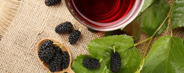 桑阴的解释(有桑阴这个词吗)