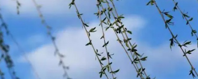 草长莺飞简单释义(草长莺飞词义)