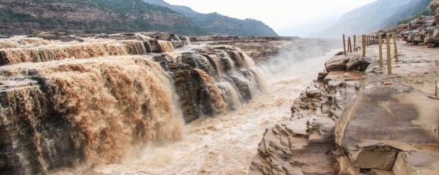 你能分清这两种吗(你分的清吗)