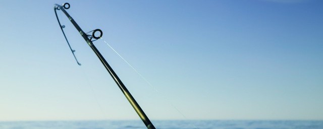 野钓大鲤鱼简单方法是什么(野钓鲤鱼有什么技巧)