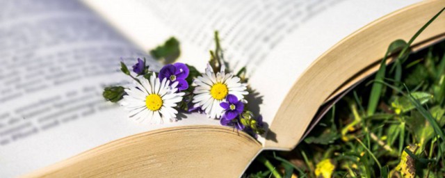 朱读法(朱令赟怎么读)