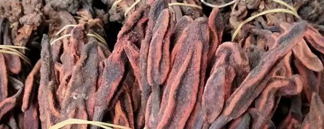 关于回春草的功效与作用(回春草的功效与作用及食用方法回春)