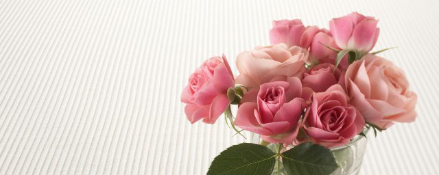 南阳市花是啥(南阳市花是什么花,象征什么)