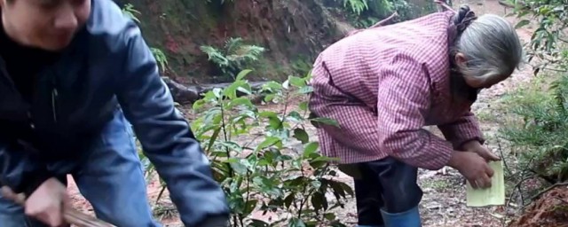 帮撒纸钱的禁忌(撒纸钱对人有什么讲究)