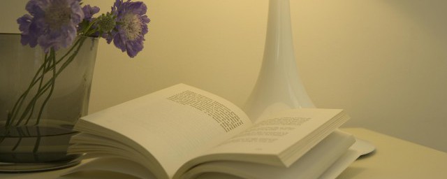 前后照应的含义(前后照应是什么)