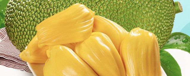 菠萝蜜介绍(菠萝蜜介绍说明作文)