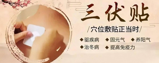 不适合贴三伏贴的人群有哪些(三伏贴什么人适合贴)