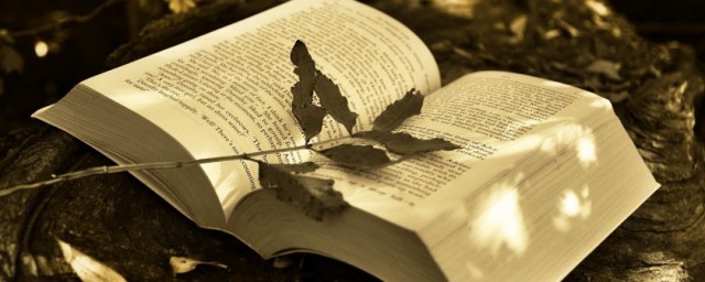 给朋友的立秋祝福语(立秋祝福朋友的话)