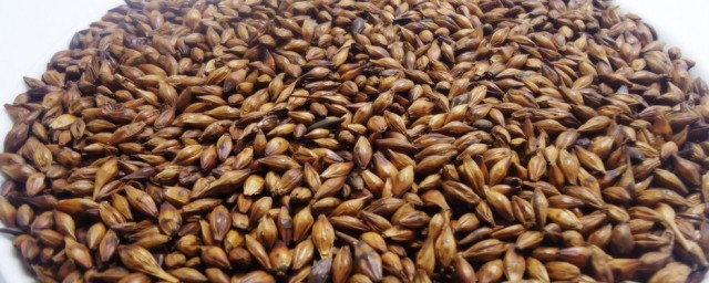 侧柏籽的功效与作用及禁忌是什么(侧柏叶籽的功效与作用)