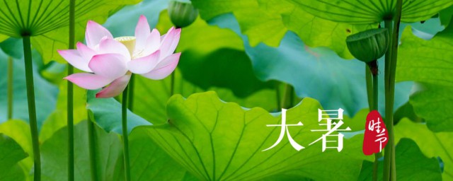 大暑天养生饮食方法大全(暑天养生食谱)