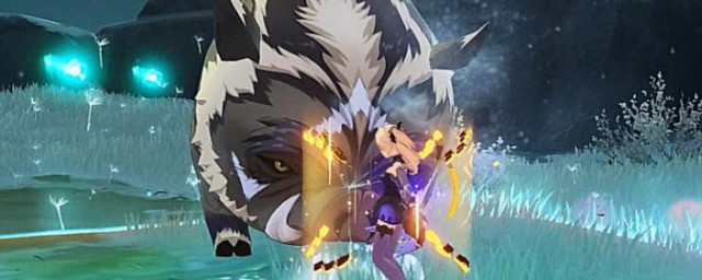 原神野猪王介绍(原神野猪王图片)