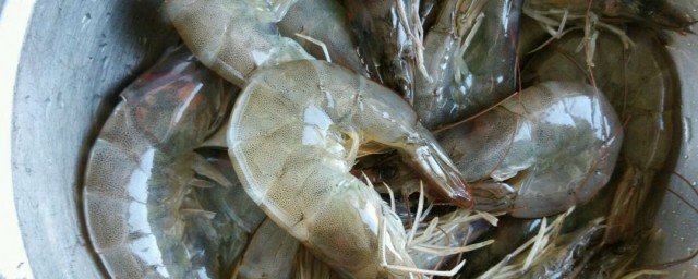 虾过敏快速处理方法(虾过敏怎么根治)