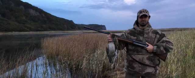 zbc俄罗斯解释(俄罗斯人说的zbc是什么意思)