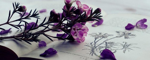 寄予美好希望的女孩名(美好祝愿的名字 女孩)