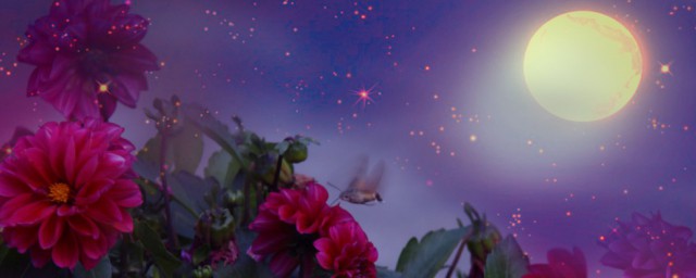 关于花好月圆的剧情介绍(花好月又圆剧情介绍)